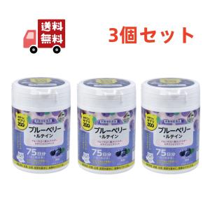 カワラヤ 公式】WABUCI ダイエットサプリメント マンゴー味 360 カワラヤ 公式】WABUCI ダイエットサプリメント マンゴー味 360