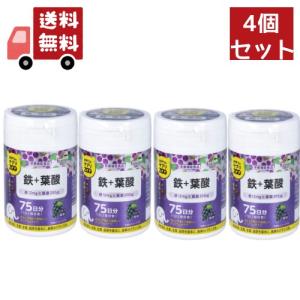 野口医学研究所 納豆キナーゼHQ 約30日分 (120粒) 栄養補助食品