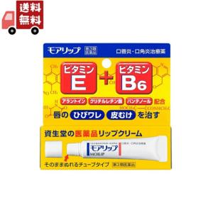 【第3類医薬品】資生堂　モアリップN　8g｜kwry001-store