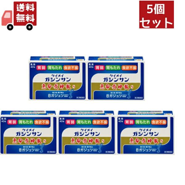 5個セット【第2類医薬品】 恵命我神散Ｓ（ガジュツ） 40包　胃腸薬　食欲不振　胃部・腹部膨満感　消...