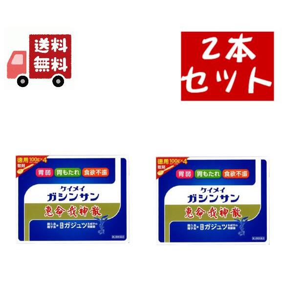 2個セット【第2類医薬品】恵命我神散 けいめいがしんさん 散剤 徳用 100g×4 スプーン付き