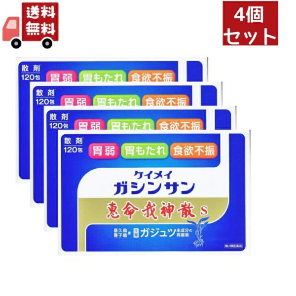 4個セット【第2類医薬品】恵命我神散散剤3Ｇ×120包×4個セット　胃腸薬　食欲不振　胃部・腹部膨満...