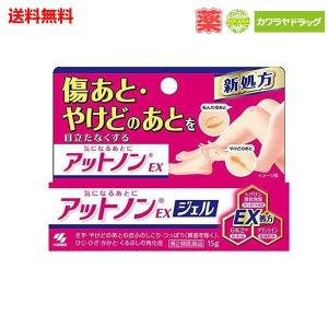 【第2類医薬品】《小林製薬》 アットノンEXジェル 15g (傷あと・やけどあと)｜KAWARAYAヤフーショッピング店