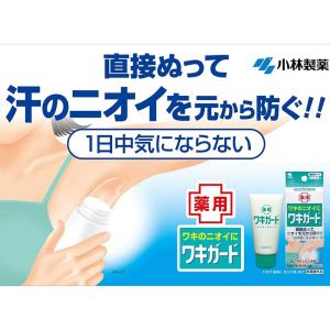 2個セット 小林製薬|Kobayashi 小林...の詳細画像1