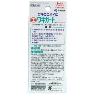 2個セット 小林製薬|Kobayashi 小林...の詳細画像3
