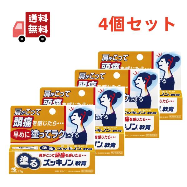 4個セット【第3類医薬品】塗るズッキノン軟膏 15g　小林製薬