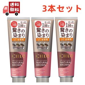 ホーユー シエロ カラートリートメント 全体用 ナチュラルブラウン