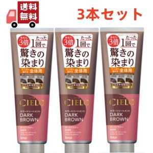 ホーユー シエロ カラートリートメント 全体用 ナチュラルブラウン