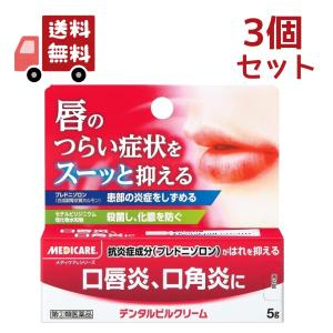 森下仁丹 2個セット【第(2)類医薬品】メディケア デンタルピルクリーム