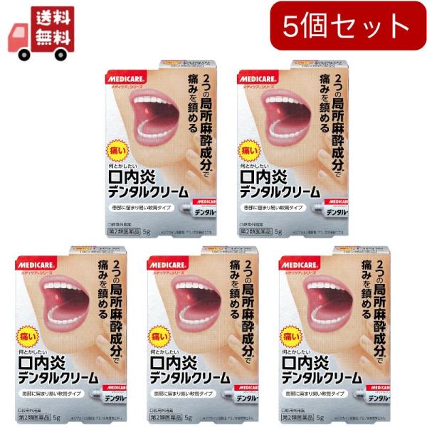 5個セット【第2類医薬品】森下仁丹デンタルクリーム 5g
