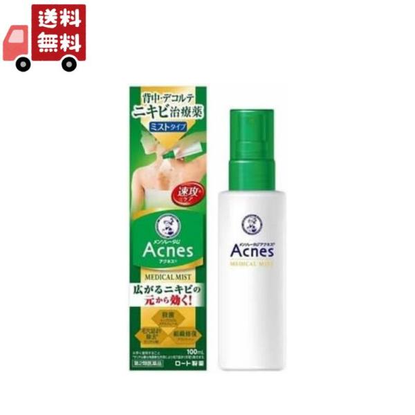 【第2類医薬品】メンソレータム アクネス25 メディカルミストb (100ml)