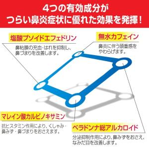 【指定第2類医薬品】 パブロン 鼻炎カプセルS...の詳細画像3