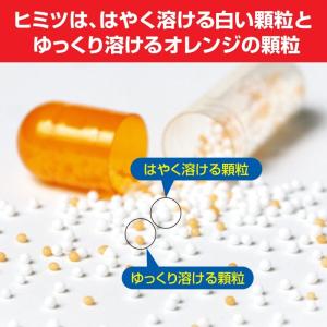 【指定第2類医薬品】 パブロン 鼻炎カプセルS...の詳細画像4