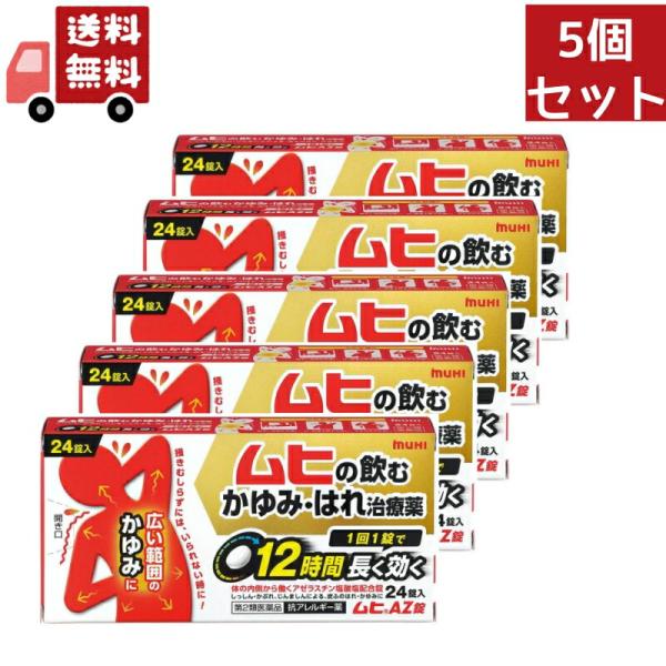 5個セット 【第2類医薬品】【池田模範堂】 ムヒAZ錠　24錠