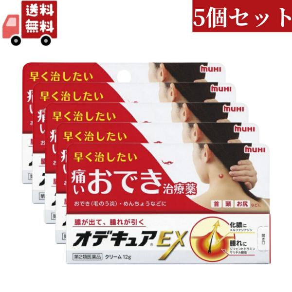 5個セット【第2類医薬品】オデキュアEX クリーム 12g おでき めんちょう とびひ 毛のう炎 池...