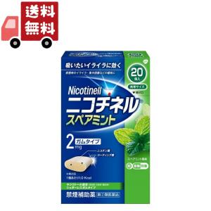 【指定第2類医薬品】ニコチネル 禁煙補助薬 スペアミント 20個｜kwry001-store