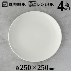 A0019　 プレート 4枚入り/1BOX　（250mm)
