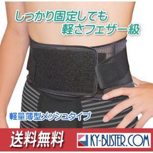 ピップ ダブルフィット 腰 サポーター 男女兼用 M L LL 3種から1つ