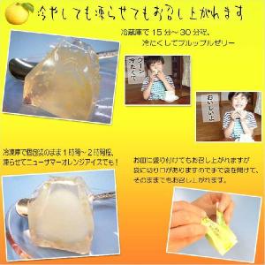ニューサマーオレンジゼリー5個入 お中元 夏ギ...の詳細画像2