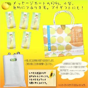 ニューサマーオレンジゼリー5個入 お中元 夏ギ...の詳細画像3