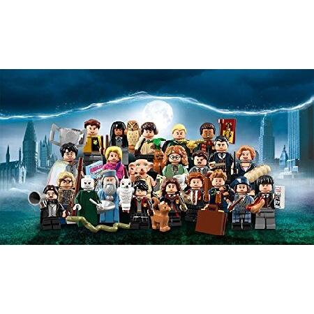 LEGO Harry Potter Fantastic Beasts Minifigure Seri...