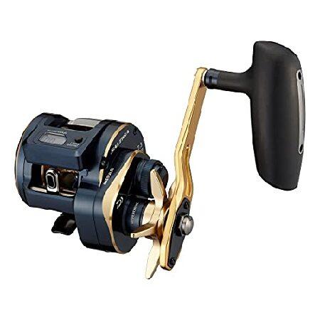 ダイワDAIWA 21 ソルティガIC 300HL-SJ