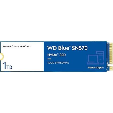 WD Blue SN570 1TB NVMe PCIe 3.0 x4 M.2 Internal SS...