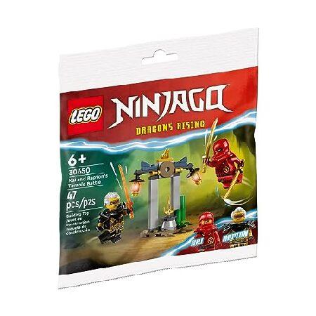 Lego Ninjago - Kai and Rapton Temple Battle polyba...