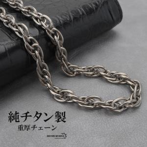 Phiten（ファイテン） チタンチェーンネックレス 50cm 0525TC664053 純