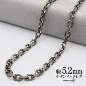 Phiten（ファイテン） 炭化チタンチェーンネックレス 45cm【公式