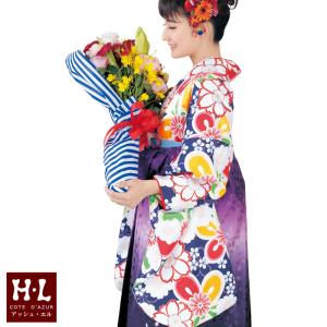 H.L（アッシュ・エル） [HL] 二尺袖着物 単品（004・黒黄）お手入れ