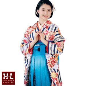 H.L（アッシュ・エル） [HL] 二尺袖着物 単品（004・黒黄）お手入れ