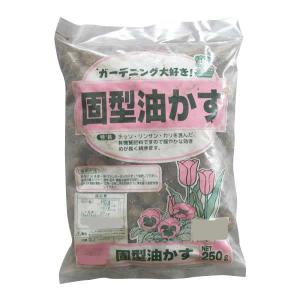 固形発酵油粕 庭 ガーデニング の商品一覧 Diy 工具 通販 Yahoo ショッピング