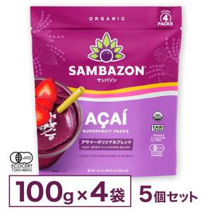 FRUTA フルッタフルッタ 冷凍 アサイー 加糖 ピューレ 1kg 業務用 ACAI