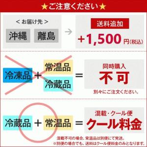 プランテンシップス スパイシー 57g トロピ...の詳細画像3