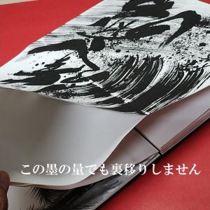 見開きの御朱印帳 B5サイズ 横 ゴン太の御朱...の詳細画像1