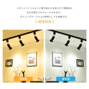 【2個セット】ダクトレール スポットライト E...の詳細画像3