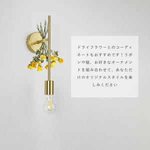 ブラケットライト 壁付け照明 E26 LED ...の詳細画像5