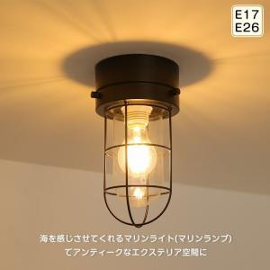 マリンランプ 1灯 マリンライト シーリングラ...の詳細画像1