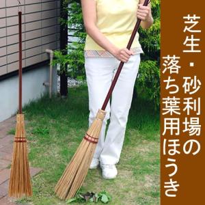 ！※代引不可※本州限定配送※芝生を傷つけずに落ち葉・ゴミだけをしっかりと掃きとる