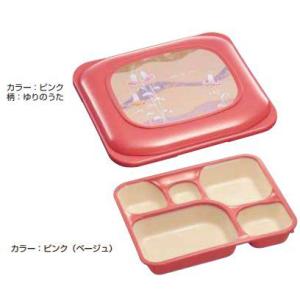 Daiwa|弁当箱|宅配容器|プラスチック製|仕出し|おかず 10点