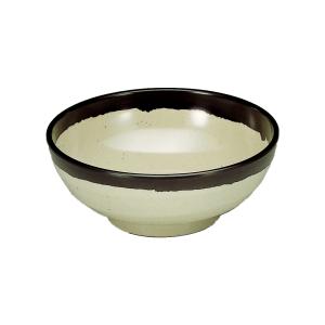 KK 関東プラスチック メラミン食器 そば丼 うどん 食器 割れ