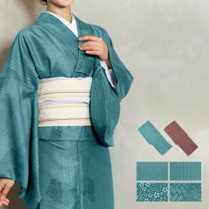 (女単衣 江戸小紋B)洗える着物 袷 洗える レディース