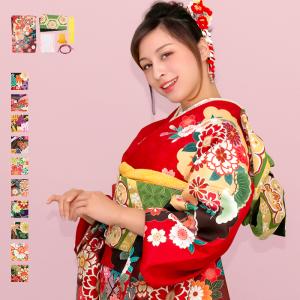 (振袖6点セット 絵羽)成人式 振袖 着物 セット 女性 女