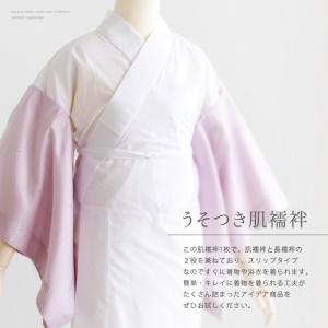 (うそつき2点 長襦袢/替え袖 友禅) 大うそ...の詳細画像2