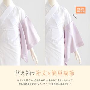 (うそつき2点 長襦袢/替え袖 友禅) 大うそ...の詳細画像3
