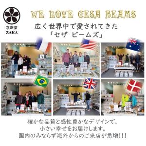 家事ヤロウで紹介 本日限定20%オフ cesa...の詳細画像2