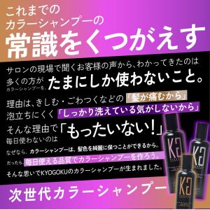 公式 10%OFF【 KYOGOKU カラーシ...の詳細画像2