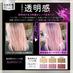 公式 10%OFF【 KYOGOKU カラーシ...の詳細画像4