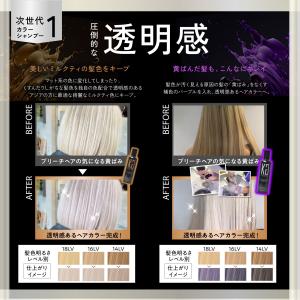 公式 10%OFF【 KYOGOKU カラーシ...の詳細画像5